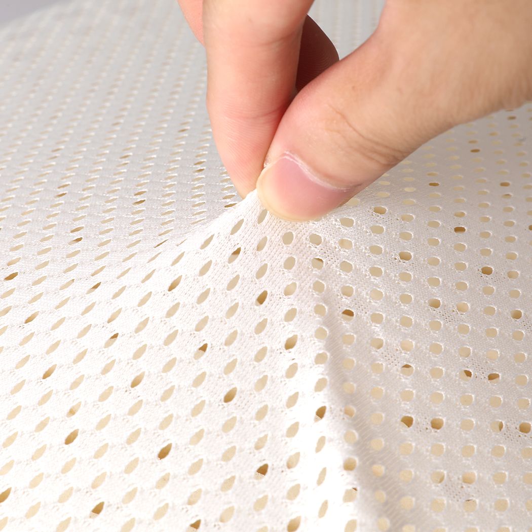 Set of 2 Natural Latex Pillow Removable