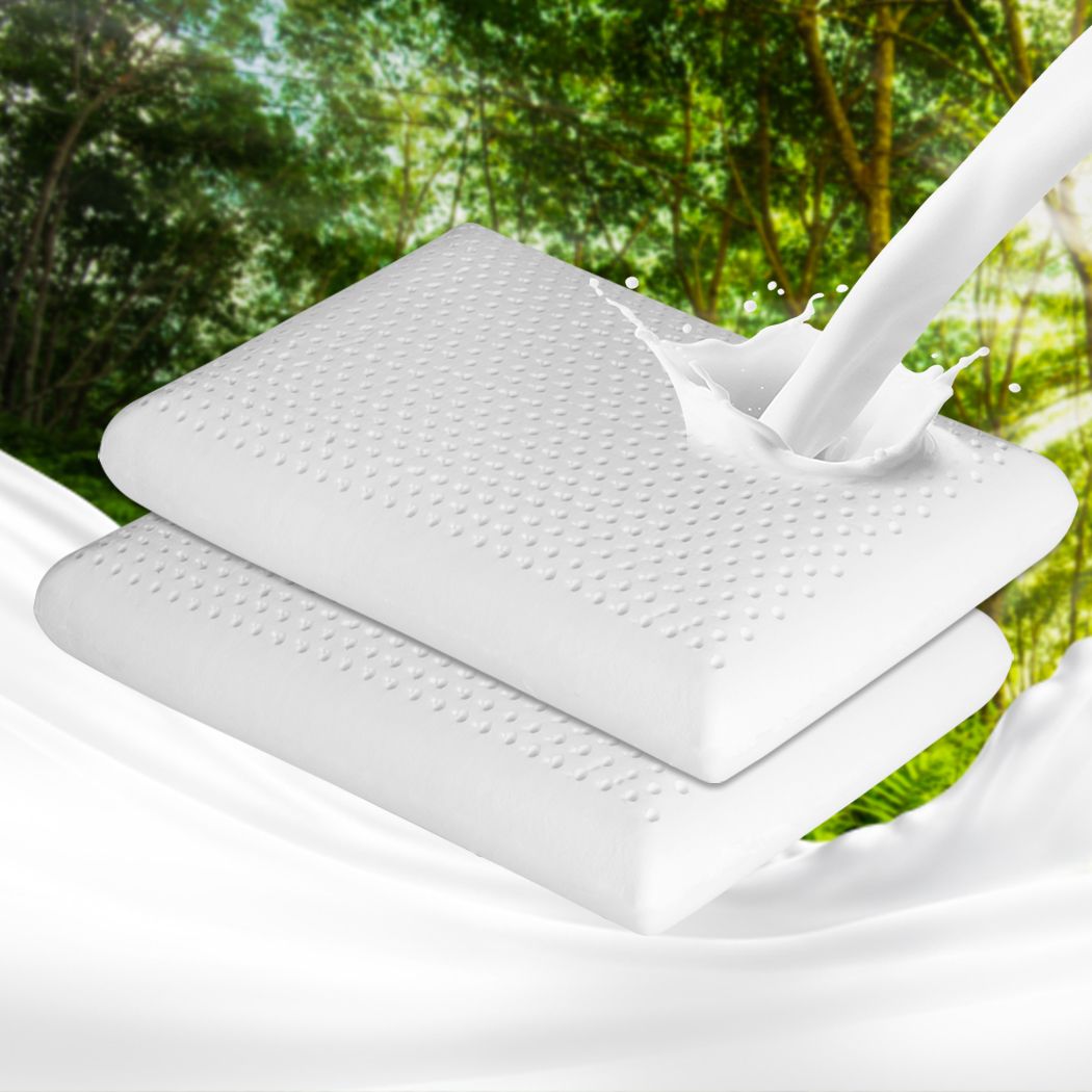 Set of 2 Natural Latex Pillow Removable