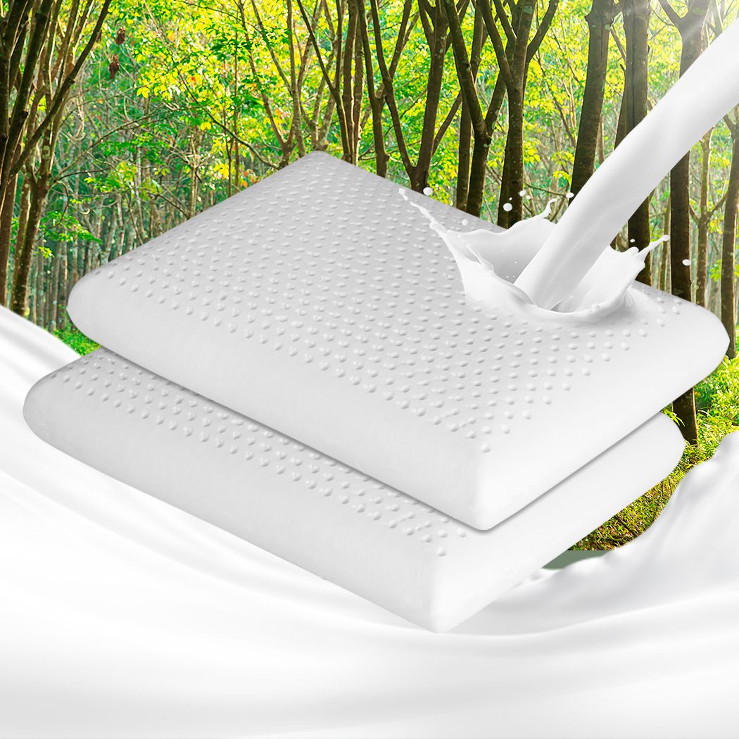 Set of 2 Natural Latex Pillow Removable